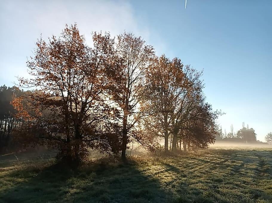 Gite Aux Bois D'En Temps Lunas  Eksteriør billede