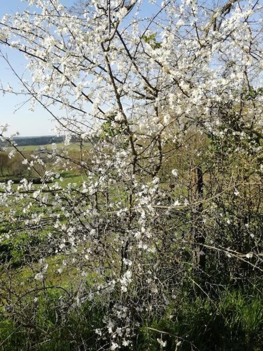 Gite Aux Bois D'En Temps Lunas  Eksteriør billede