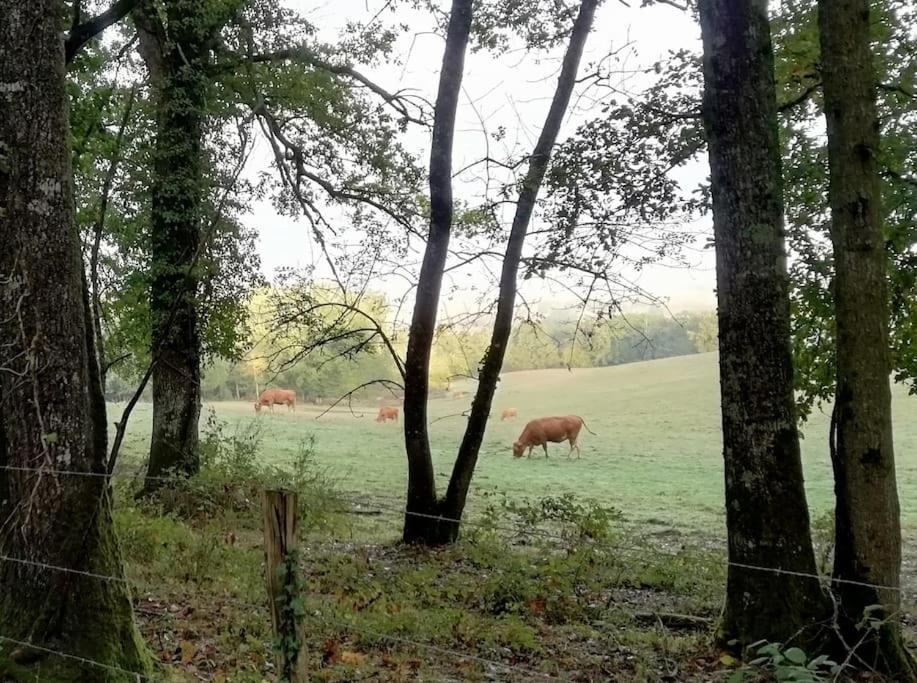 Gite Aux Bois D'En Temps Lunas  Eksteriør billede