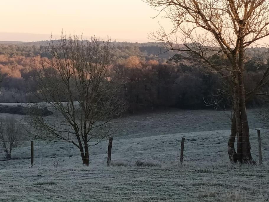 Gite Aux Bois D'En Temps Lunas  Eksteriør billede
